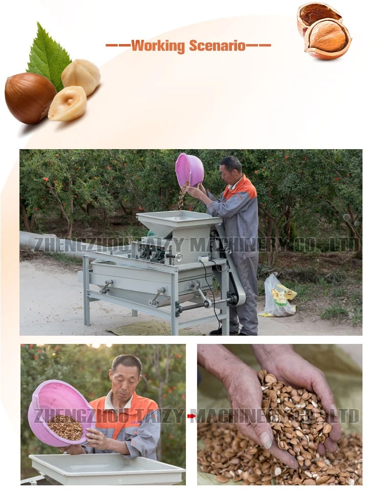 Almond shelling machine Almond shelling machine