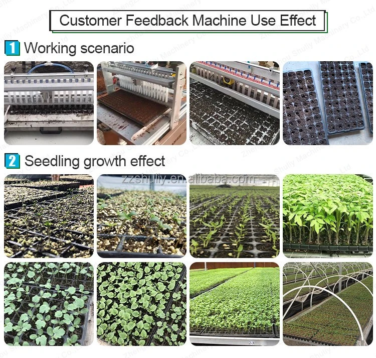 automatic tray seeder machine automatic tray seeder machine