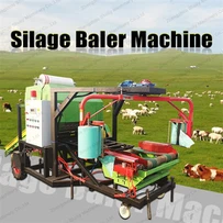 Balers féar