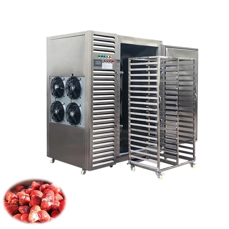 blast freezer (2)