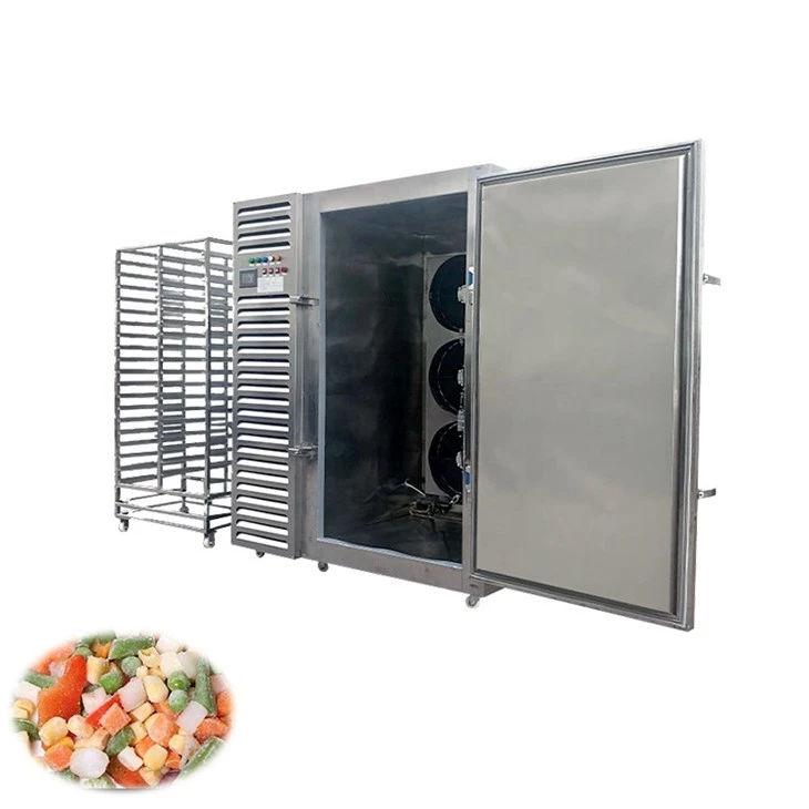blast freezer (1)